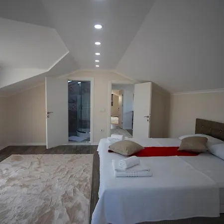 别墅 For 14 With Private Pool In Calis, 费特希耶